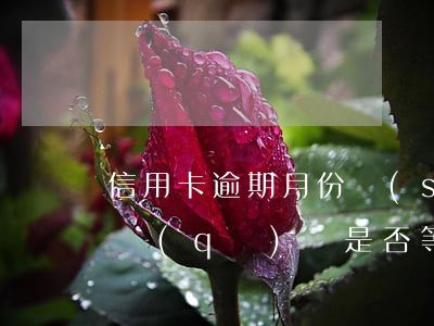 信用卡逾期月份數(shù)11與10的區(qū)別：是否等于逾期次數(shù)？